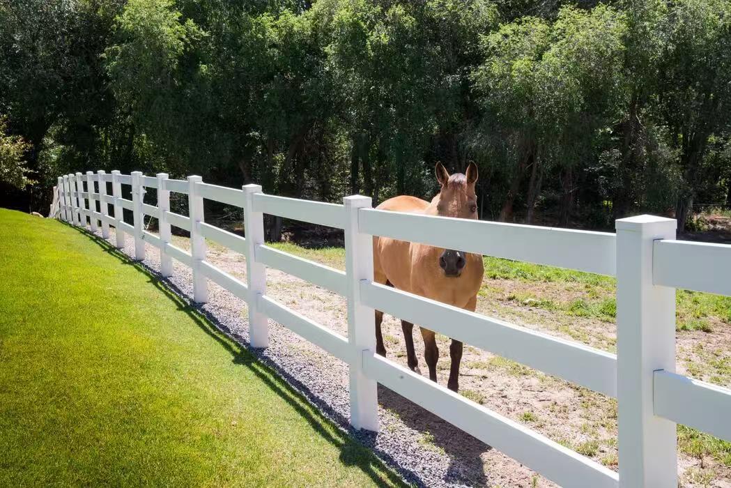 Horse Fence