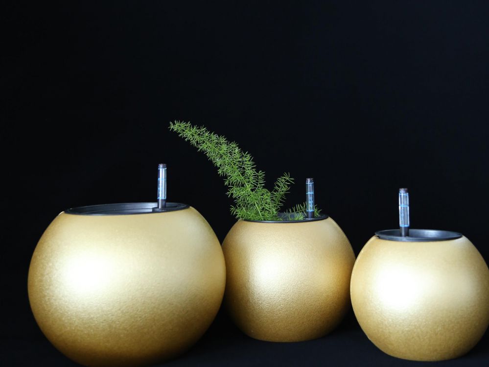 INTELLIGENT FLOWER POT