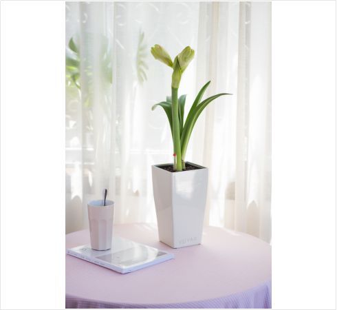 Intelligent Flower Pot